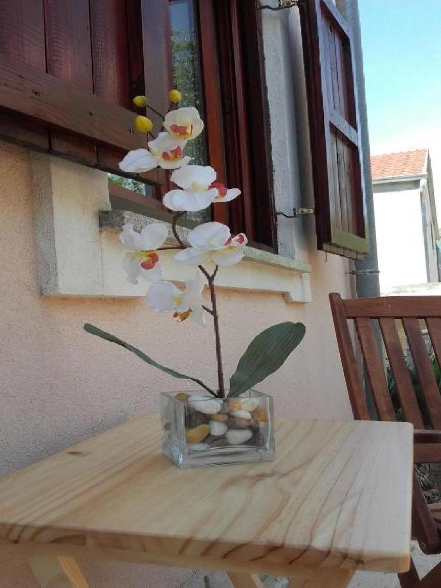 Apartments Smilje I Maslina Gornji Karin Habitación foto